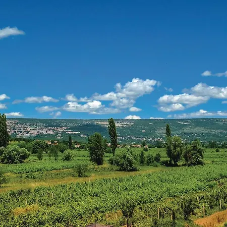 Gorgeous In Lokvicici With Wifi Holiday home Lokvicic